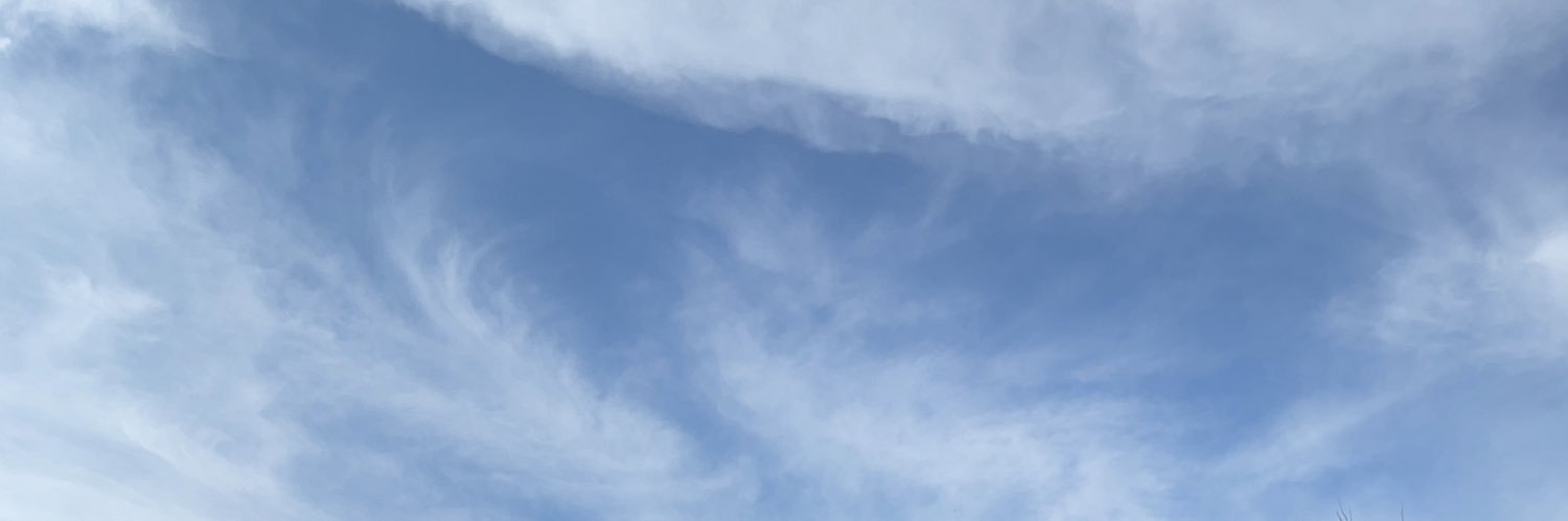 miccha1224's profile banner image