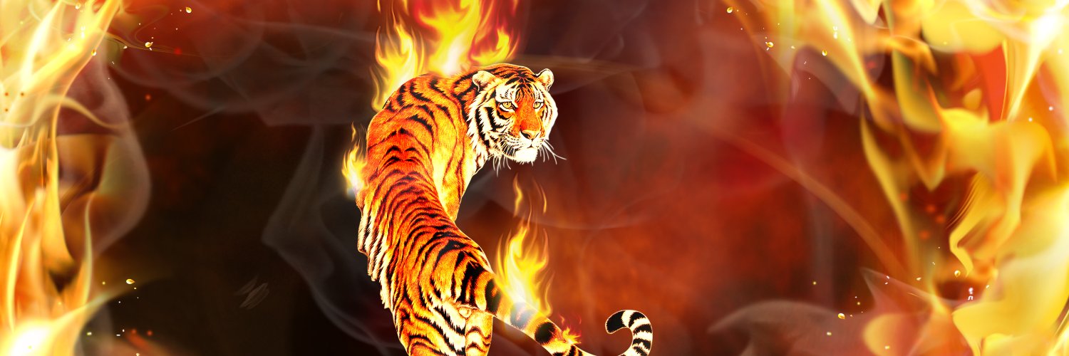 DrChela's profile banner image