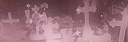 𝐓𝐚𝐠 banner