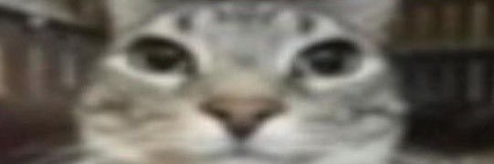 Rebbi banner