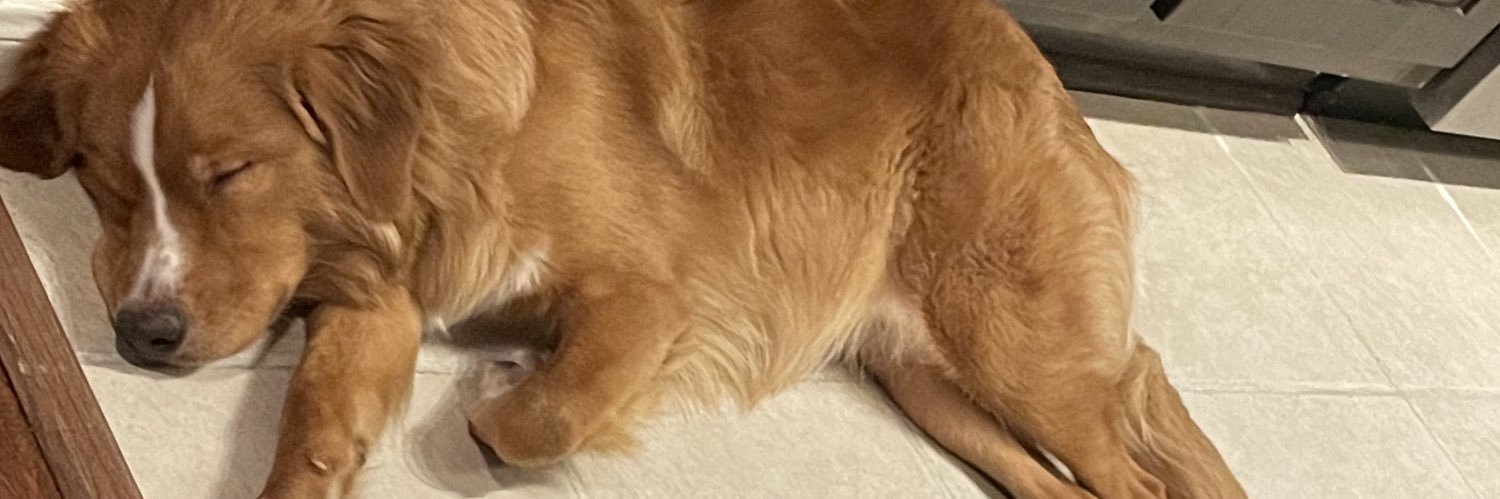 bri__holder's profile banner image