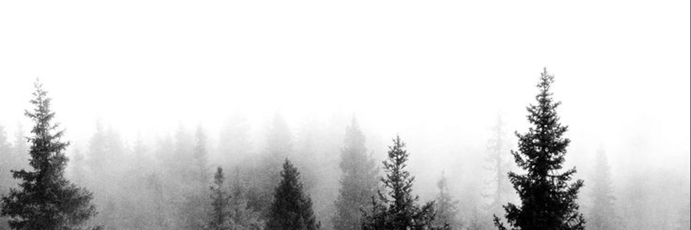 ummishobikhah's profile banner image