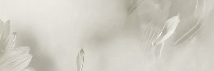 Krungie banner