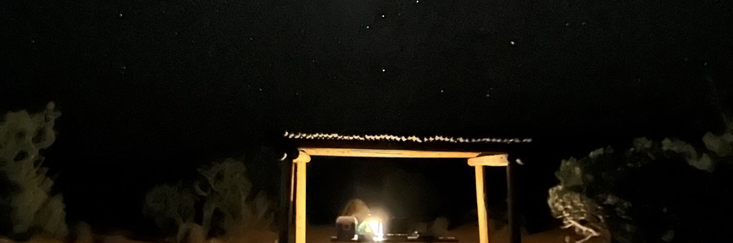 saige🌲 banner