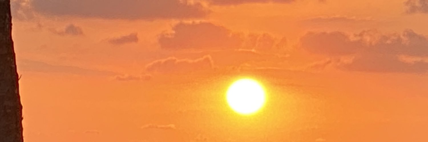 Anyel514's profile banner image