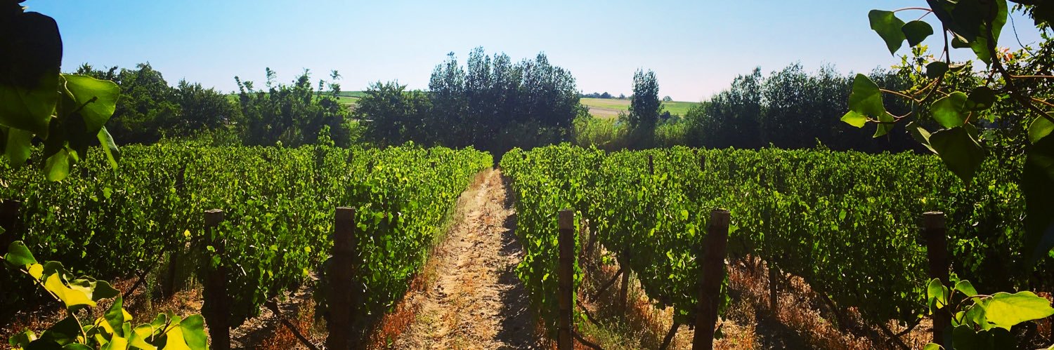 winesofeeurope's profile banner image