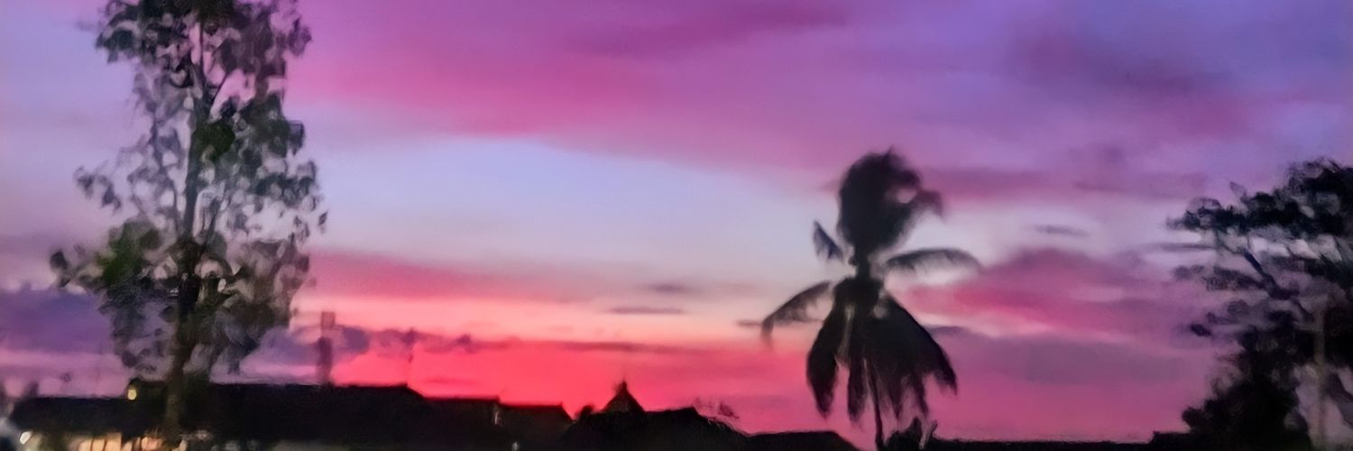 Mayasarri_'s profile banner image