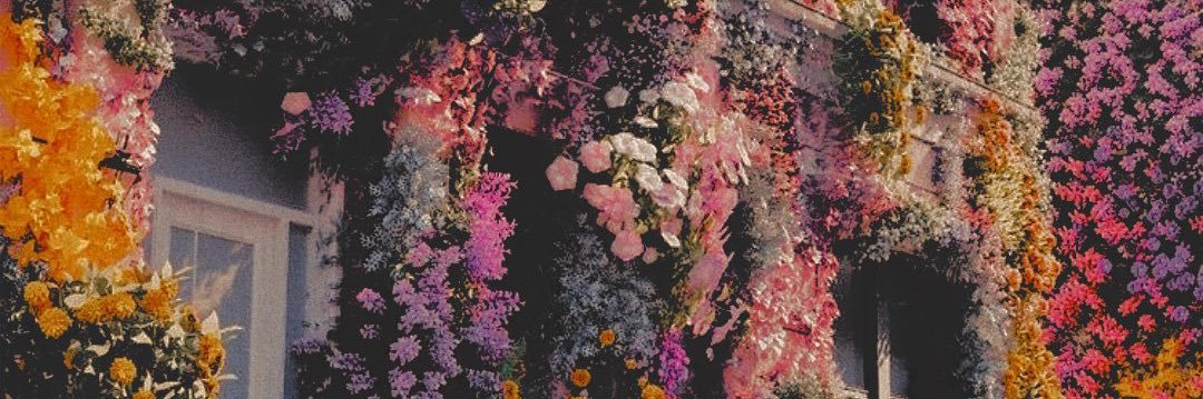 ValeenBonaldi's profile banner image
