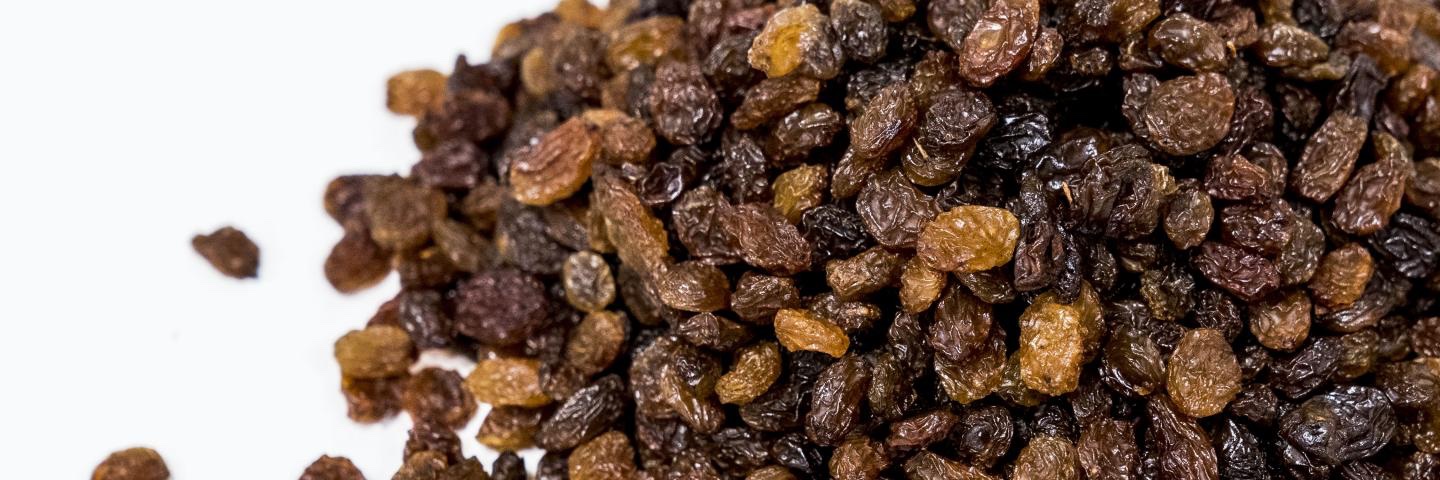 Crypto Sultana banner