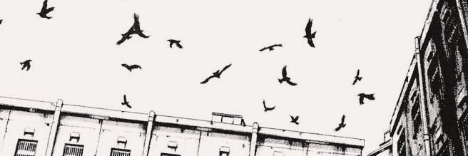 ‍ ‍ ‍ ‍ ‍Ꭺ͟di． banner