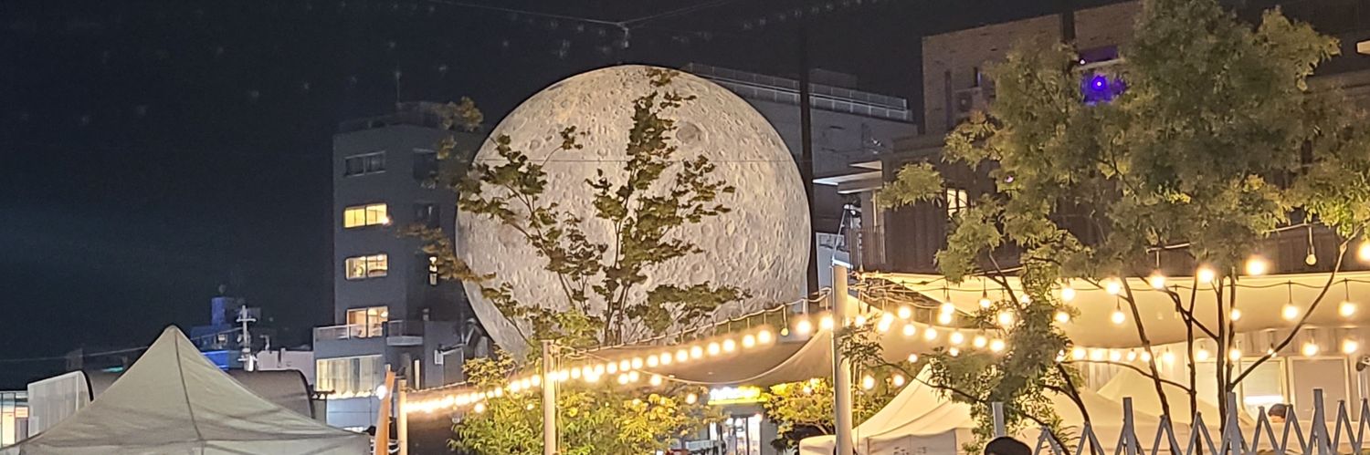 sic_ses's profile banner image