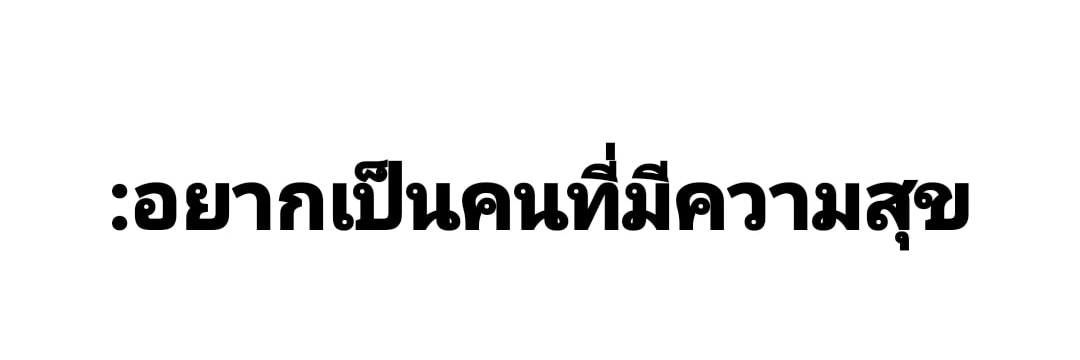 DN banner