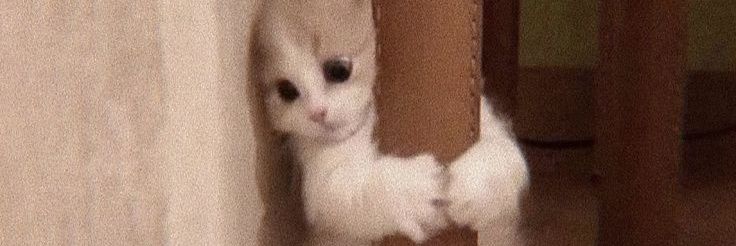nggunnn2's profile banner image
