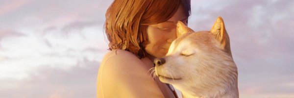 lil_dojo Profile Banner