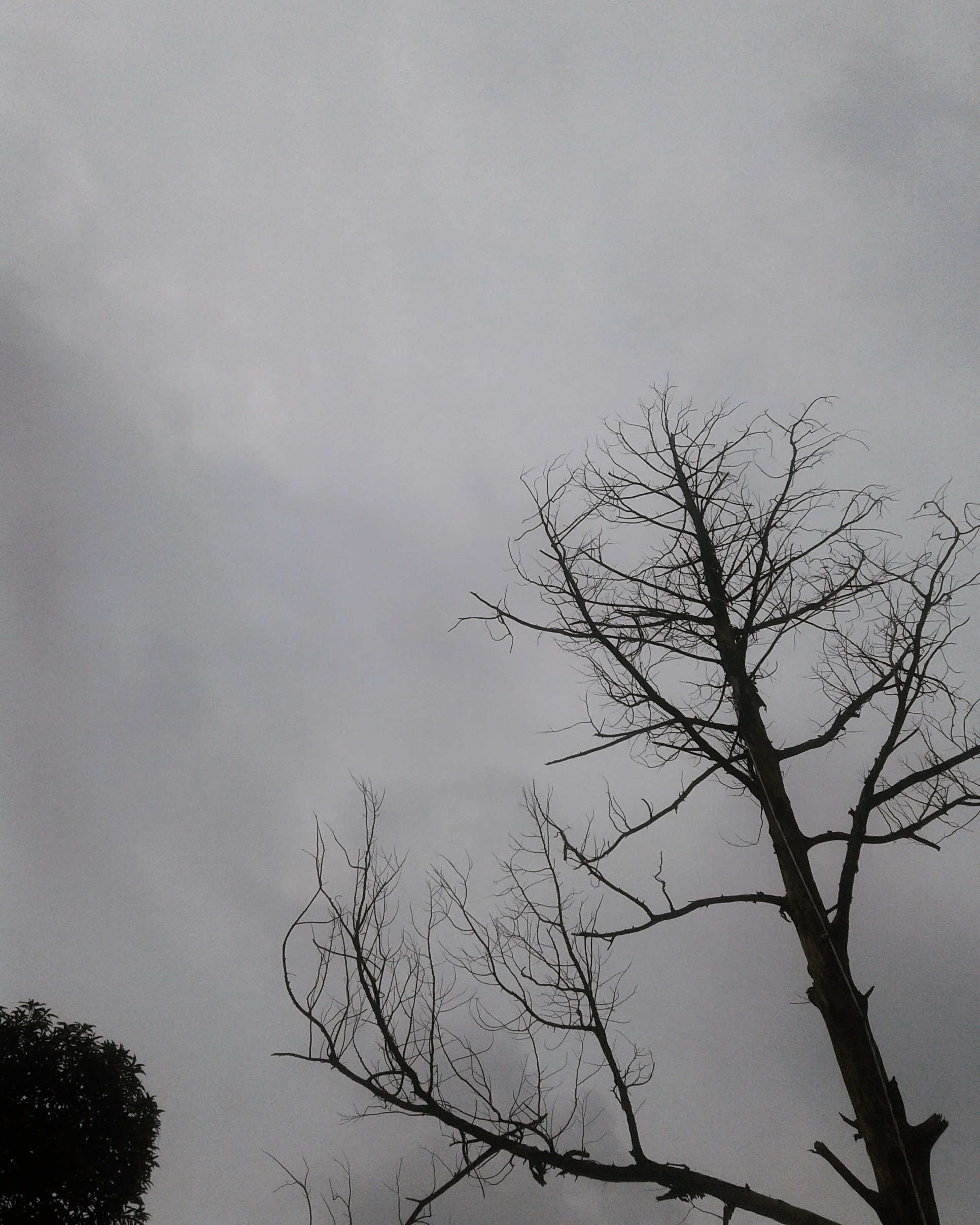 RinggiWulan's profile banner image