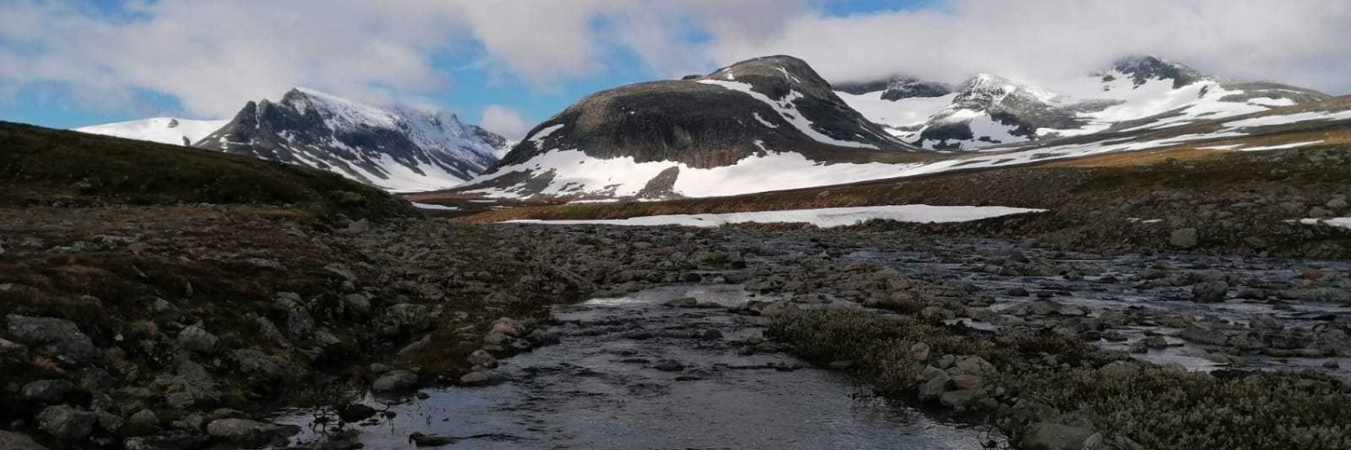 Alma Andersson banner