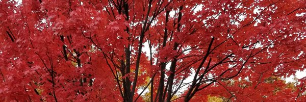 PAPatilMD Profile Banner