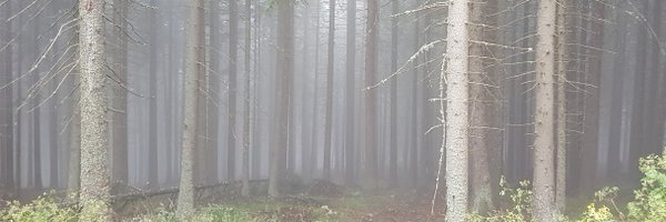 codru_c Profile Banner