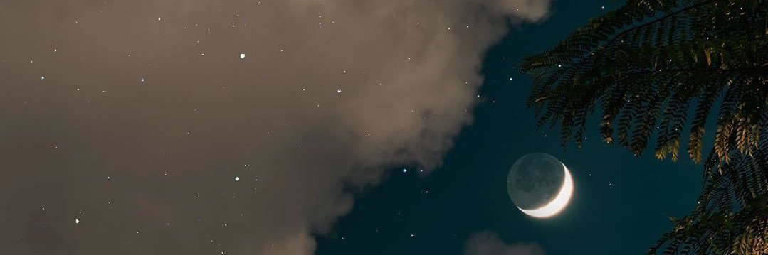 lnx569.eth(💙,🧡)(🌸, 🌿)🤖🛸.lens⏳@t2wrld (Ø,G) banner