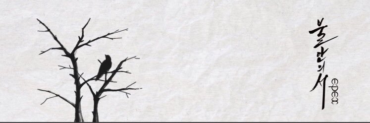 ari banner