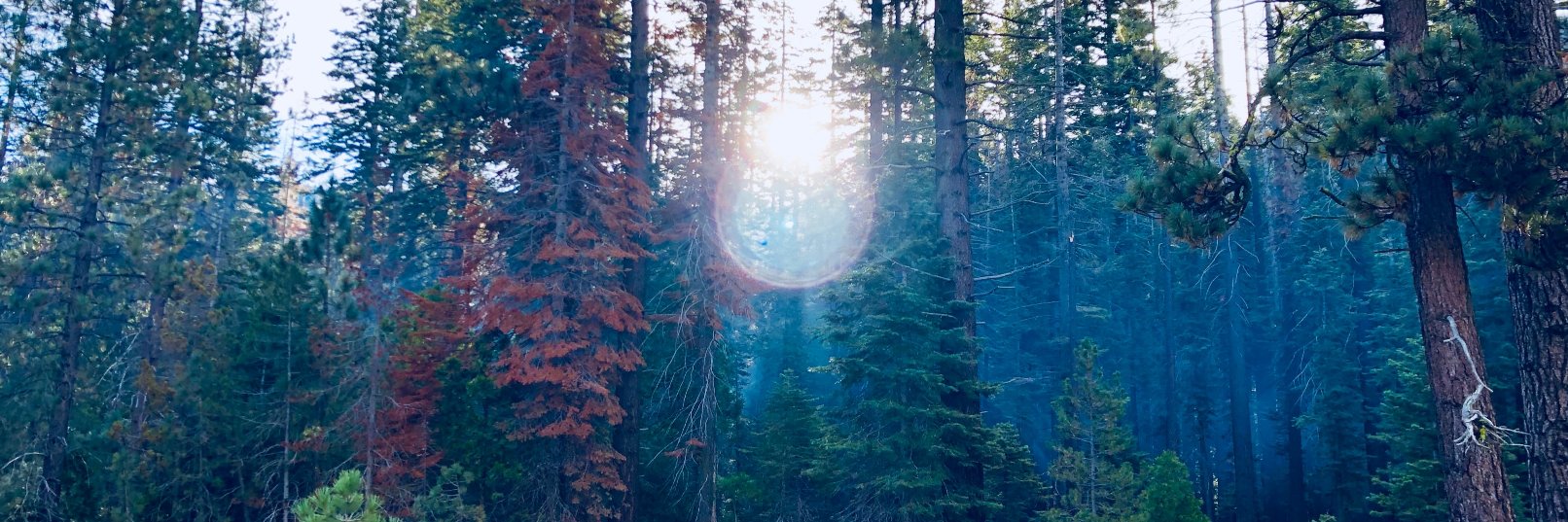 Sean (seankatcher.bsky) banner