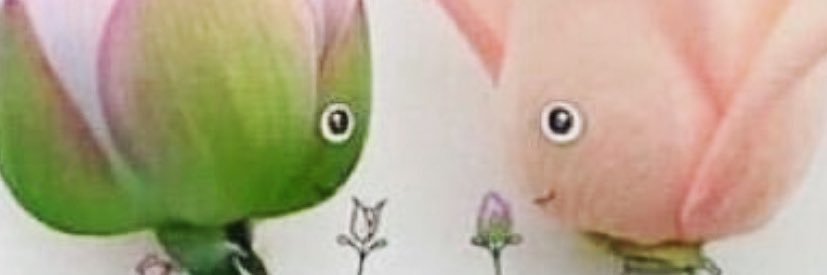 HabaeebAf's profile banner image