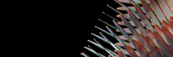 holographxyz Profile Banner
