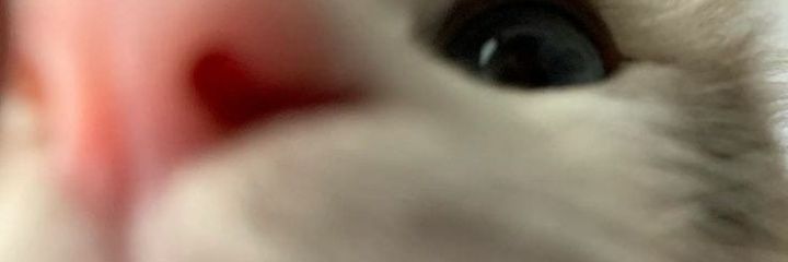 evrendendustuk's profile banner image