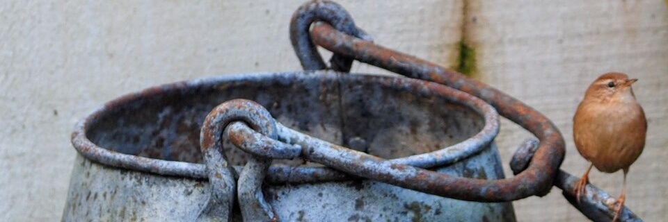 Isabelle Derderian banner