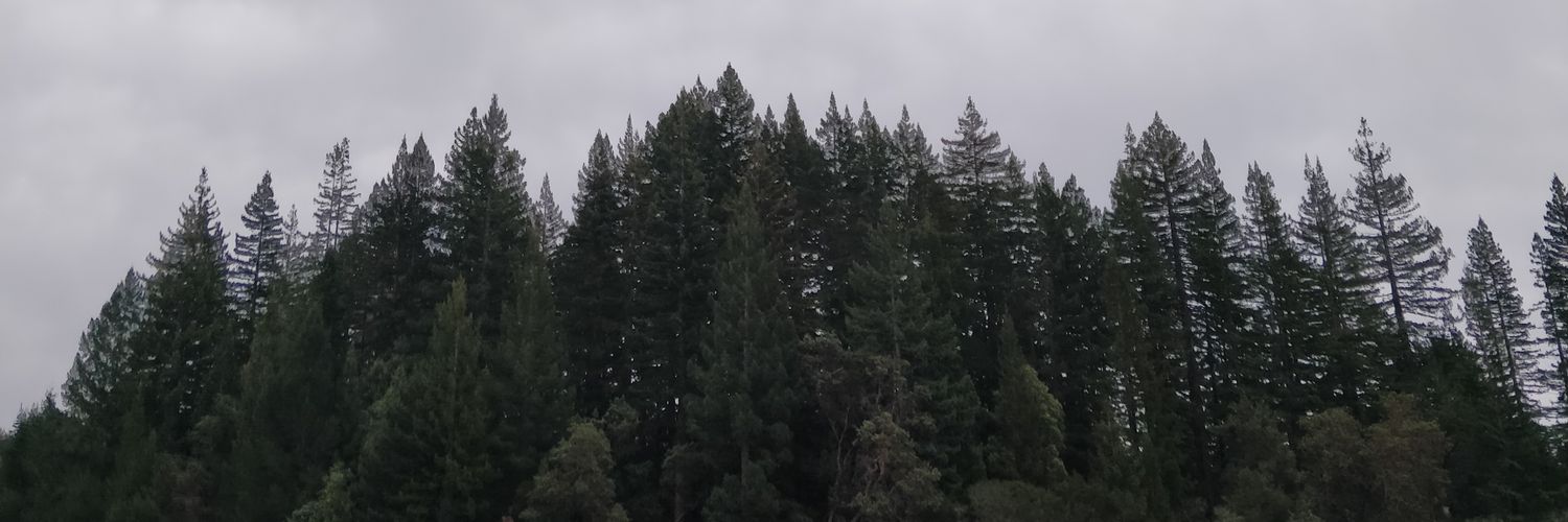 asperw's profile banner image