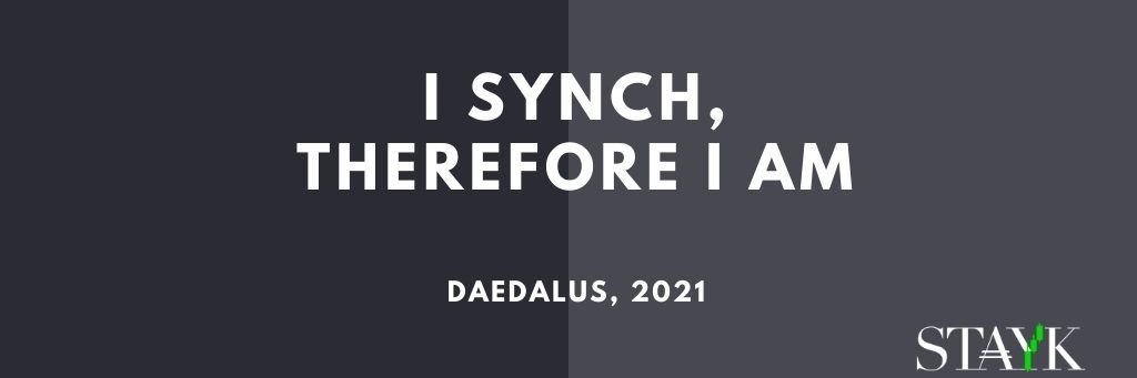 ST₳YK Pool - DRep banner