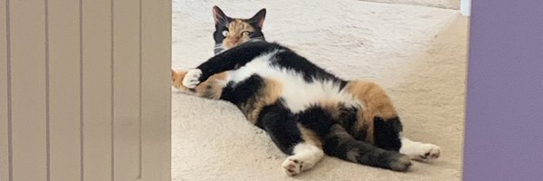 DisMavvy Profile Banner
