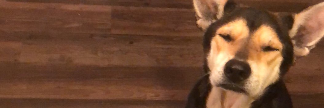 jesusrod201's profile banner image