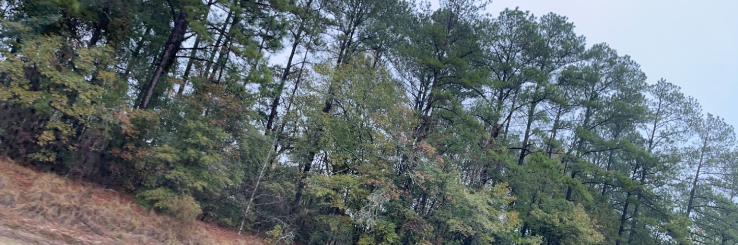 SarahSaenz1's profile banner image