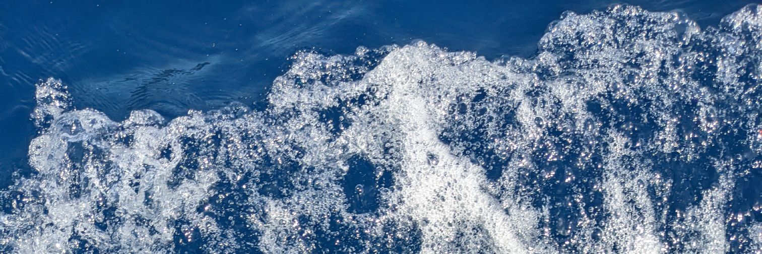 Robin - LACE pool banner