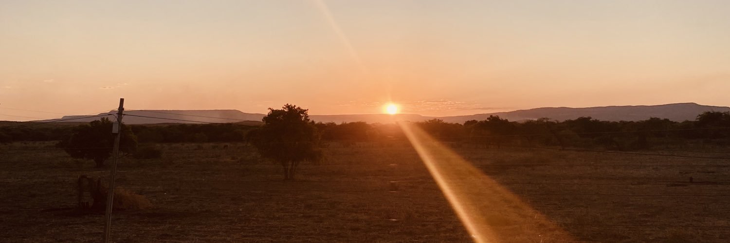 camilonetuu's profile banner image