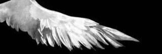 mzh_q's profile banner image