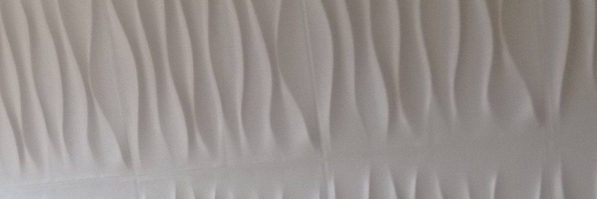 El cuate Dela Roma banner