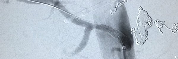 AdamFang13 Profile Banner