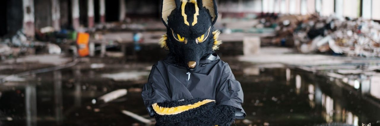 阿努比斯Anubis 🐺 furrydance ~♪'s banner