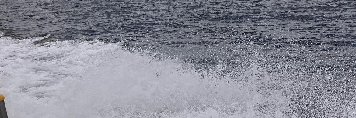 dec_888's profile banner image