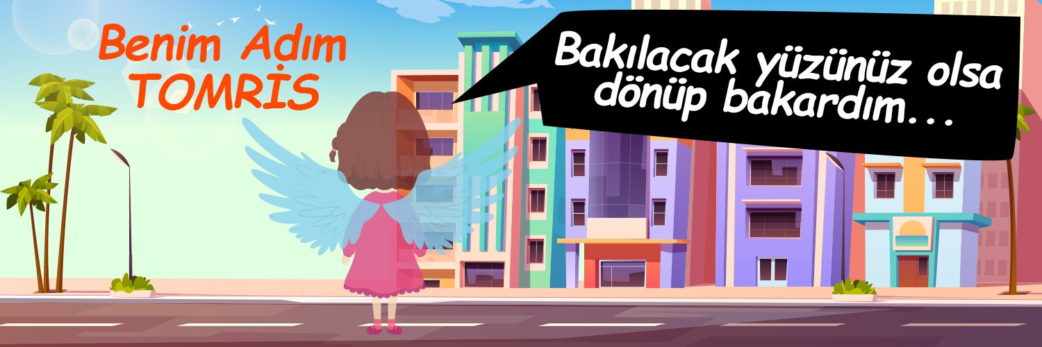 BenimAdimTomris's profile banner image