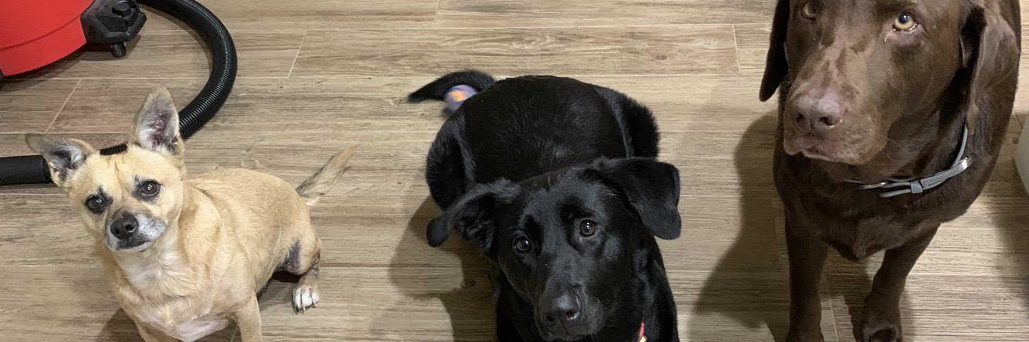 Iris ❤️ ☮️ banner