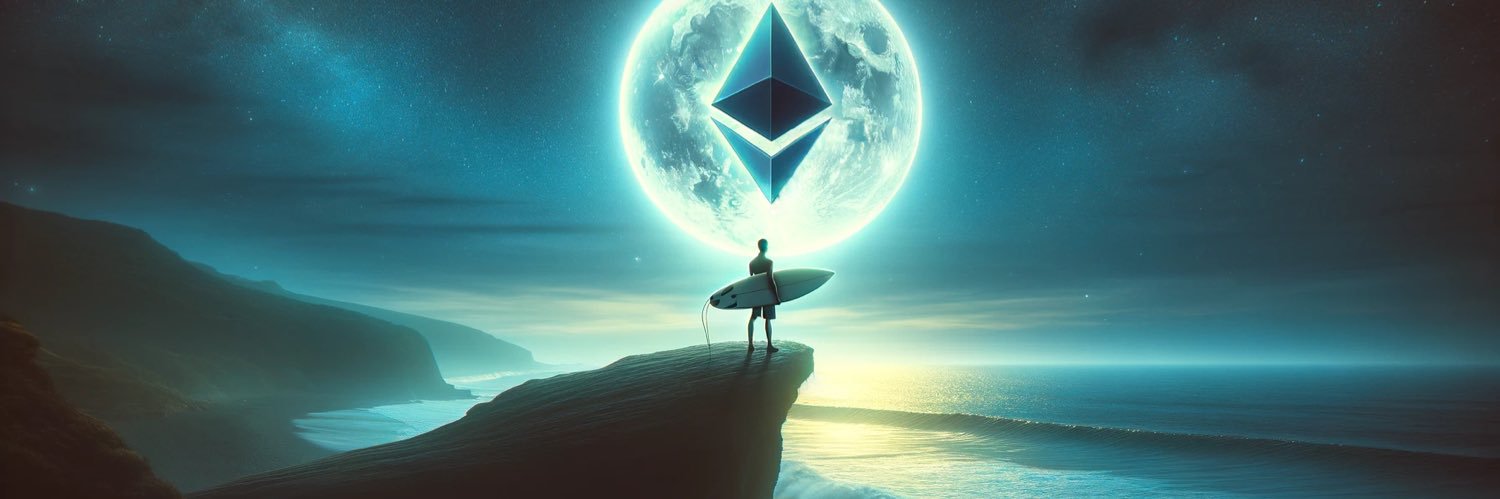 crypto surfer🏄‍♂️ banner
