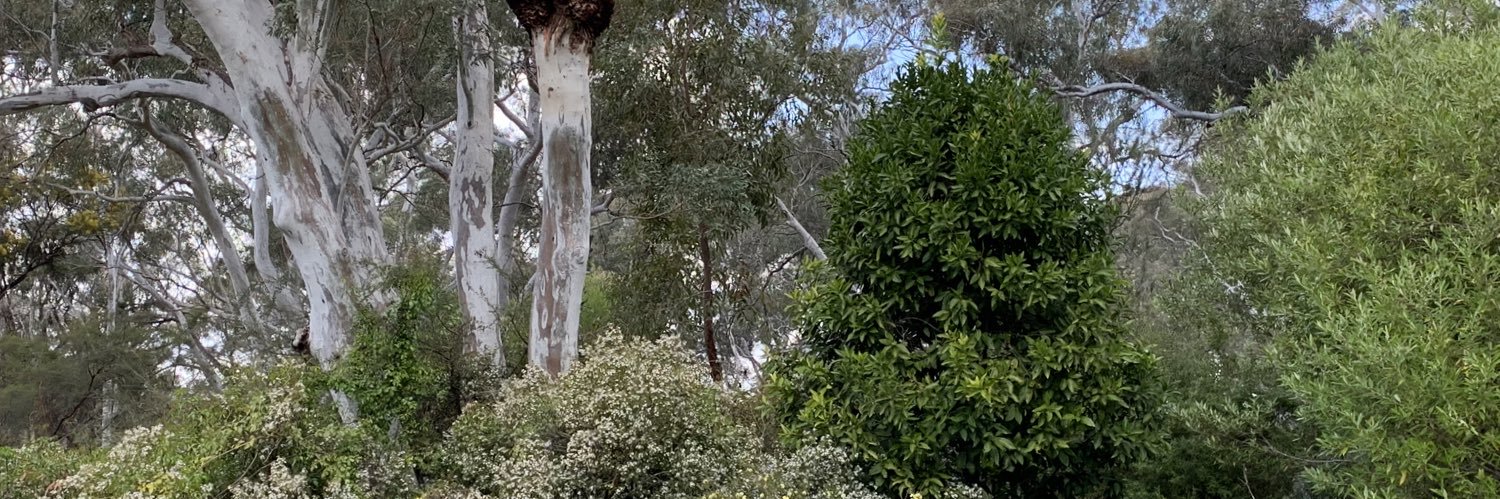 Michael Chaseling banner