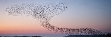 Maurits Kreijveld banner