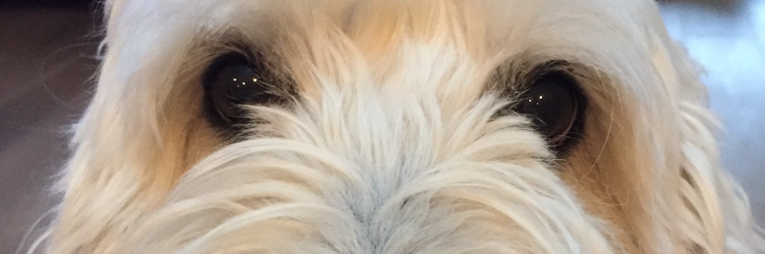 DeanChemo19's profile banner image