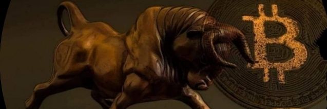 MarkInvest1's profile banner image