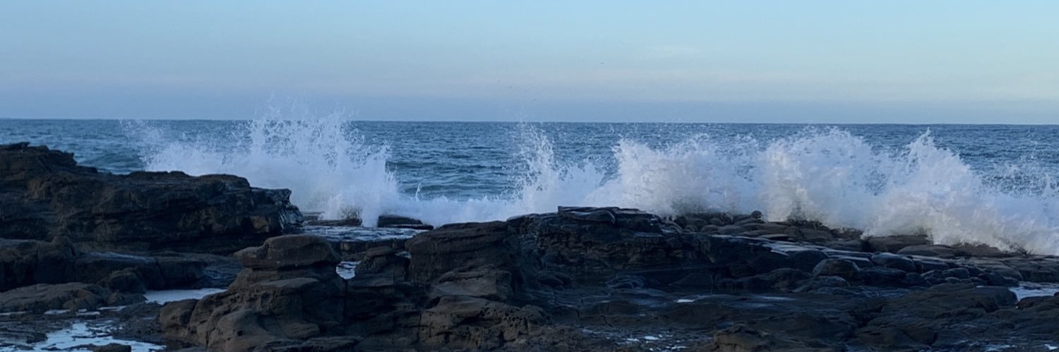 IASSIDD Ethics banner