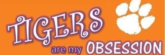 BethNWilliam's profile banner image